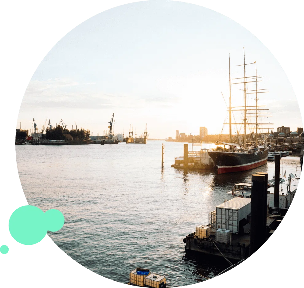 Schädlingsbekämpfung & Kammerjäger Hamburg