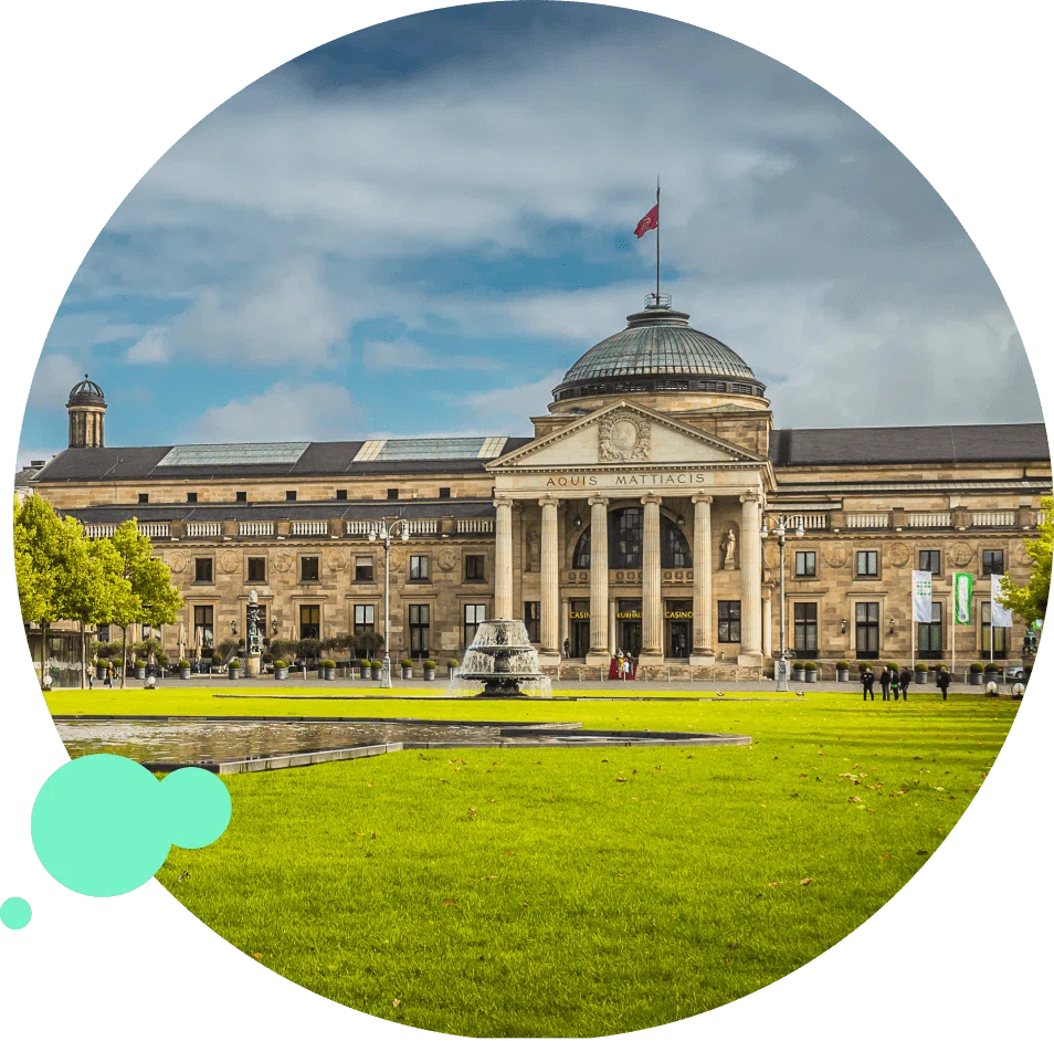 Schädlingsbekämpfung & Kammerjäger Wiesbaden